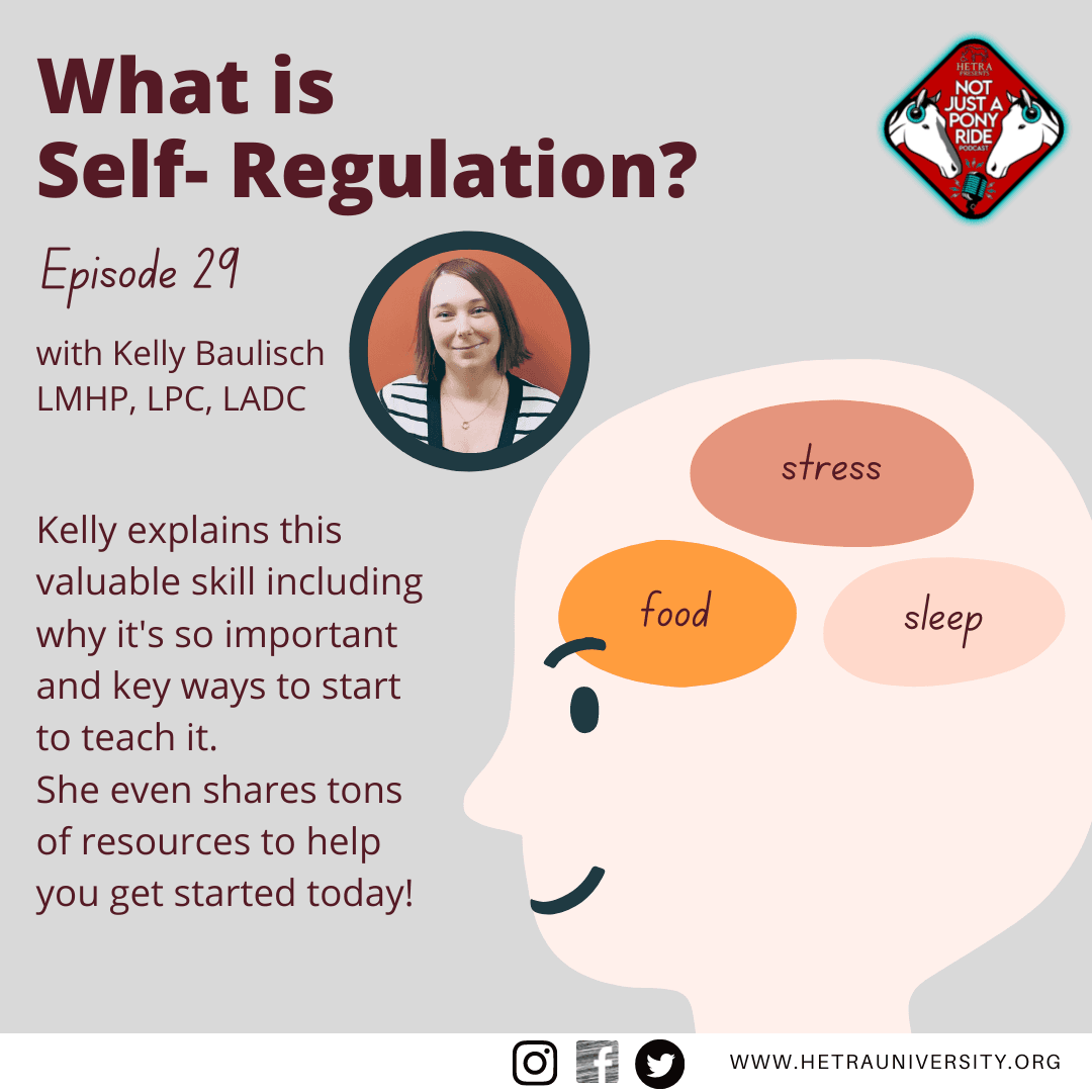 Episode #29 - Kelly Baulisch, LMHP: What is Self-Regulation?