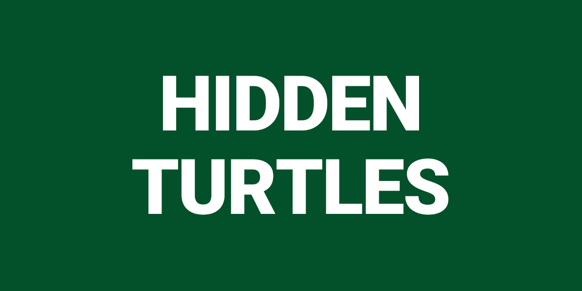 Hidden Turtles
