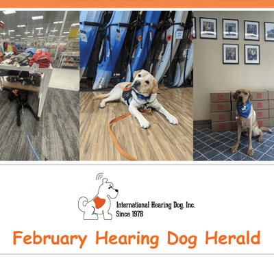 The Hearing Dog Herald - February 2023