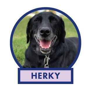Herky