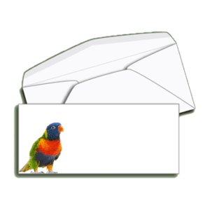 #10 Regular Envelope – Full Color Printing