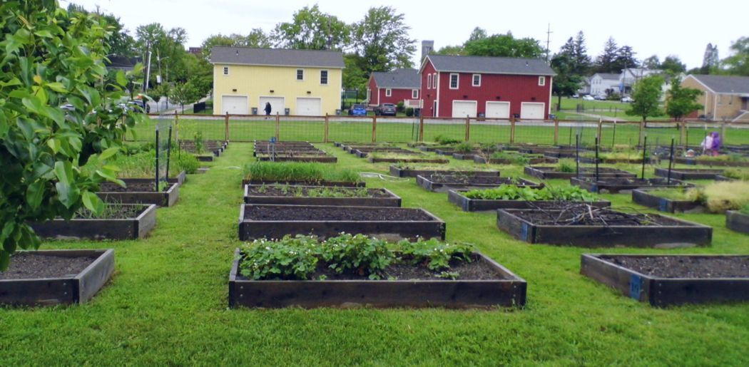 Community Garden Applications Open