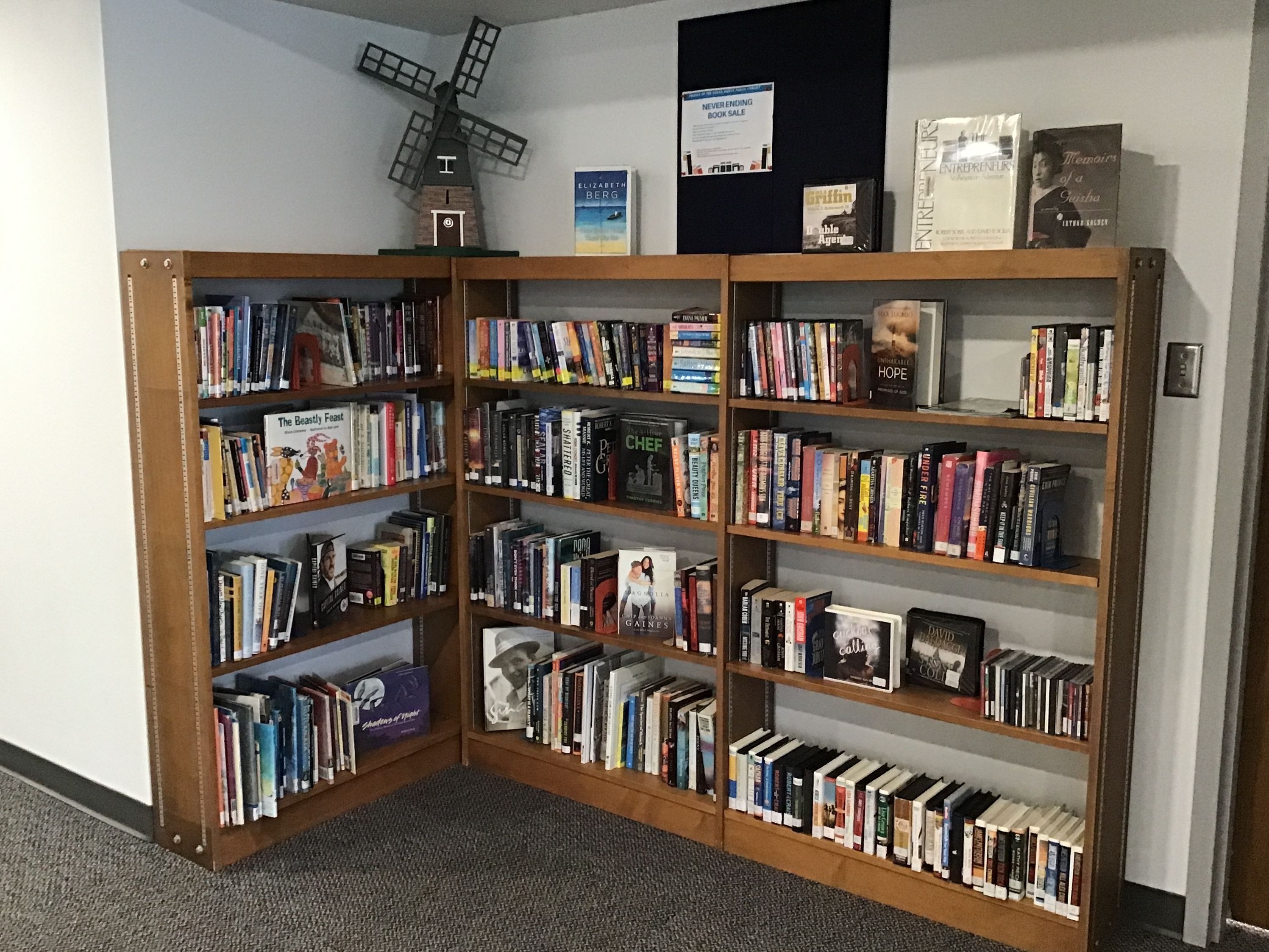 A picture of the Never Ending Book Shelves