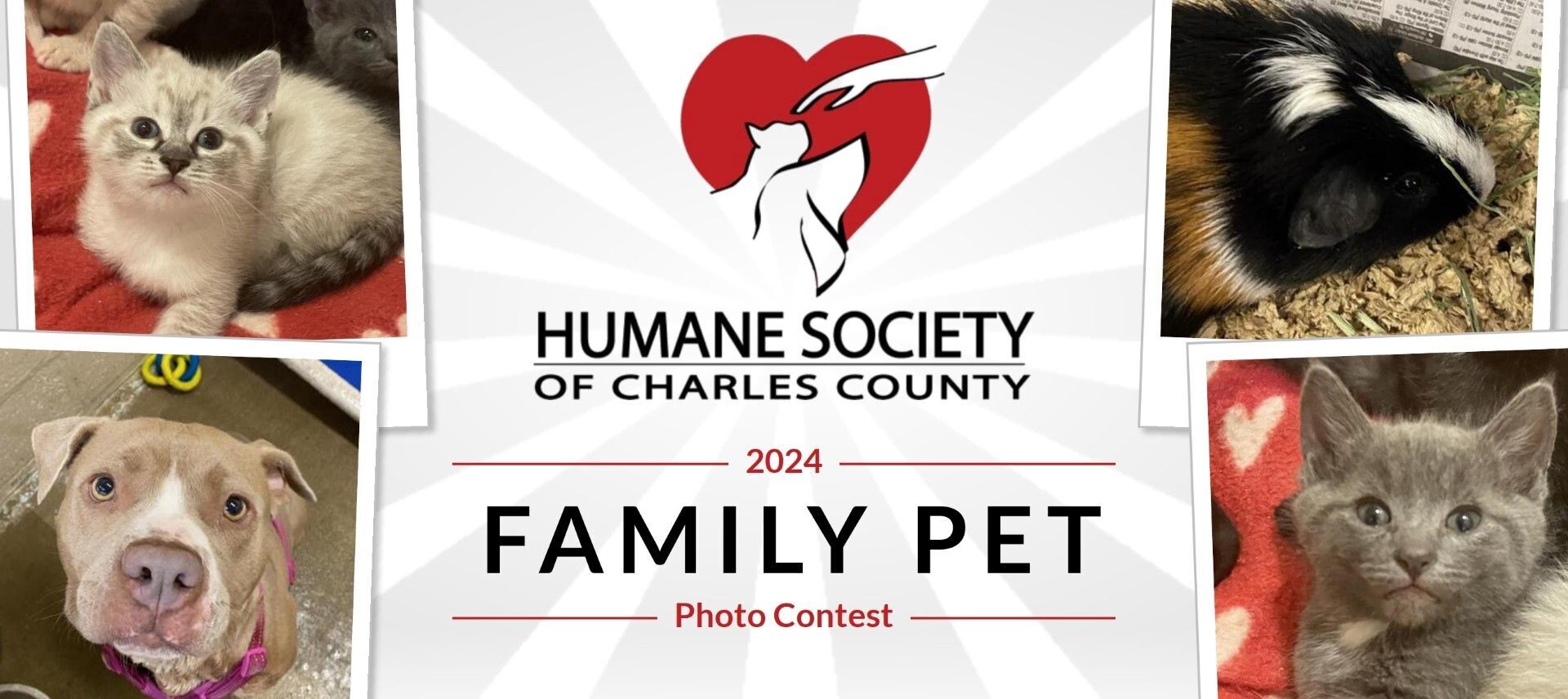 Family Pet Photo Contest