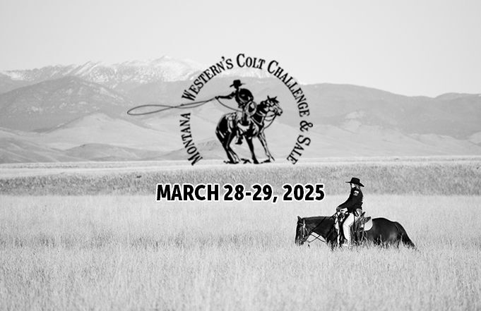 UMW and MCH Host 2025 Colt Challenge & Sale