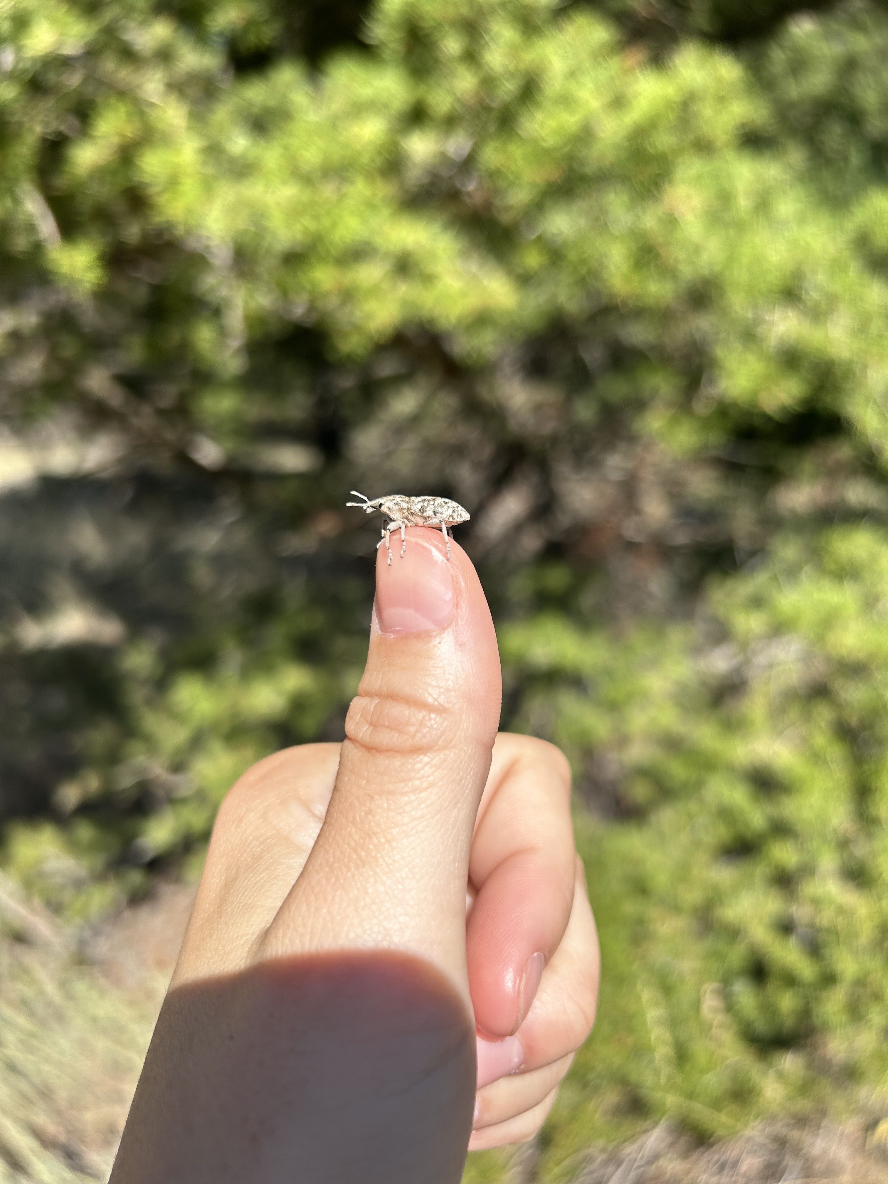 Why Properly Stewarded Trails Are Part of Our Community’s Conservation Story