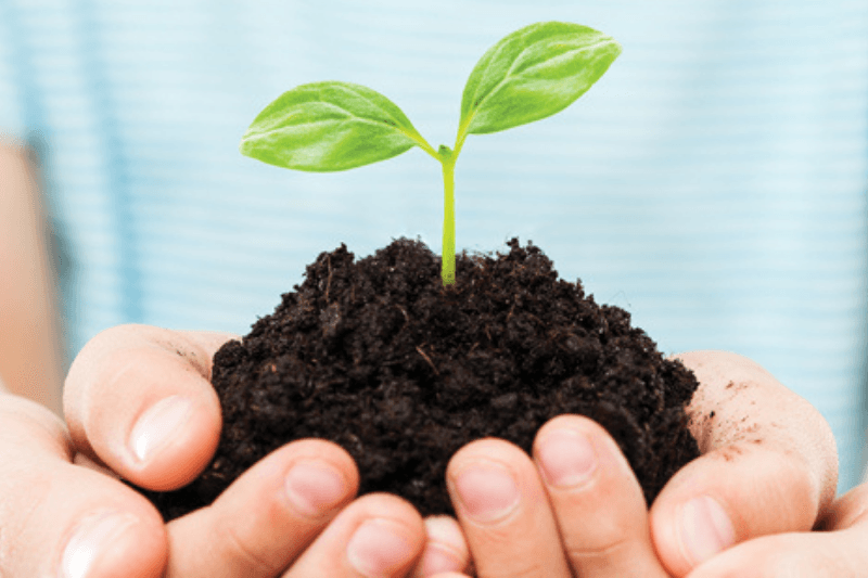 Donor-advised funds...a simple, flexible way to impact the Fremont area and beyond!