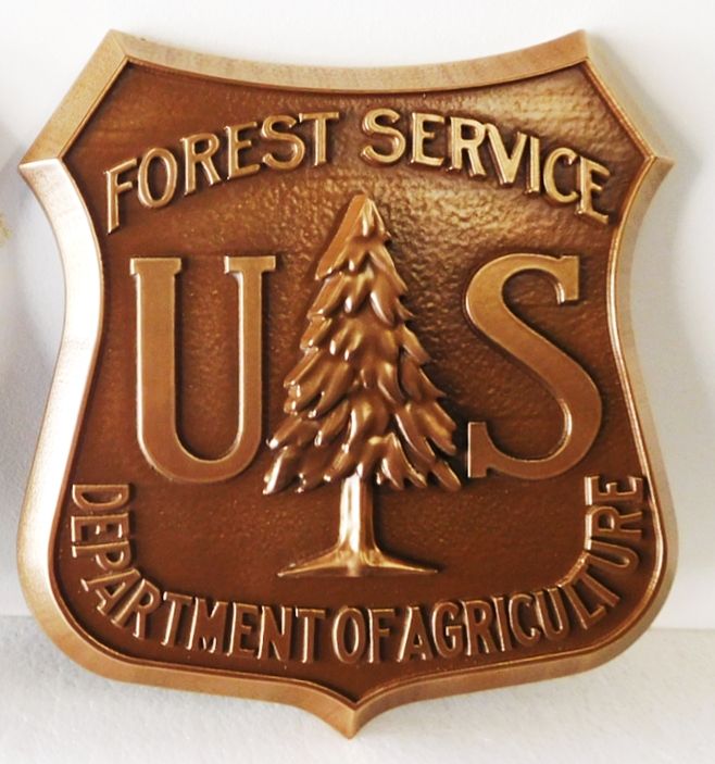 U30659  - US Forest Service Emblem Carved Wall Plaque, Bronze-Plated