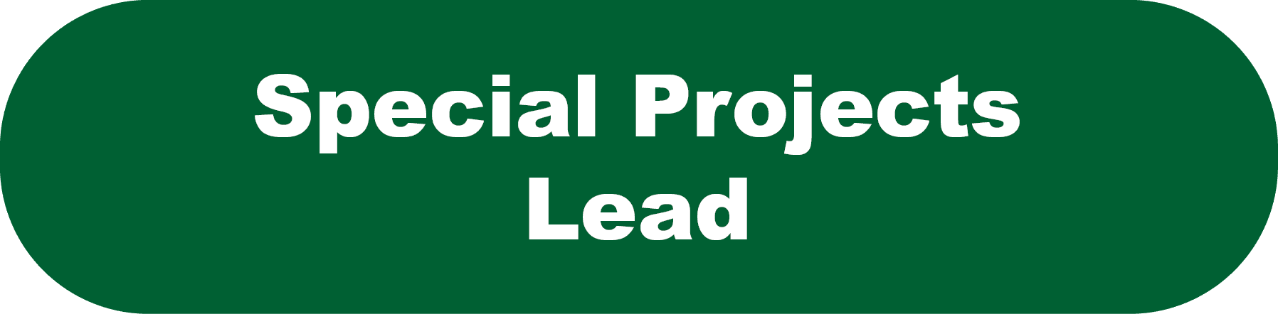 Special Projects Lead