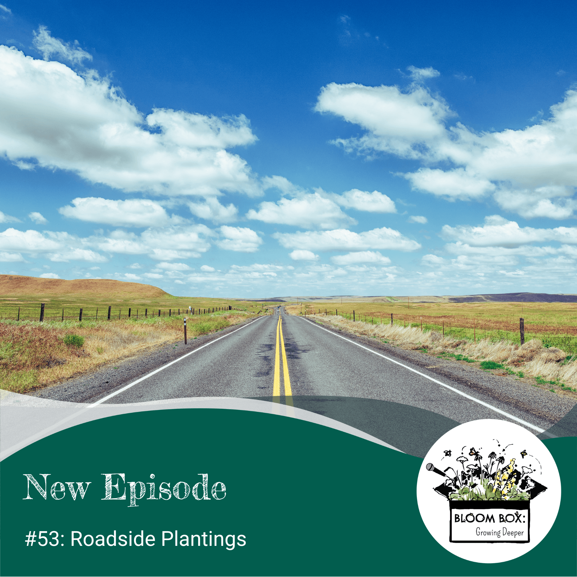 #53: Roadside Plantings