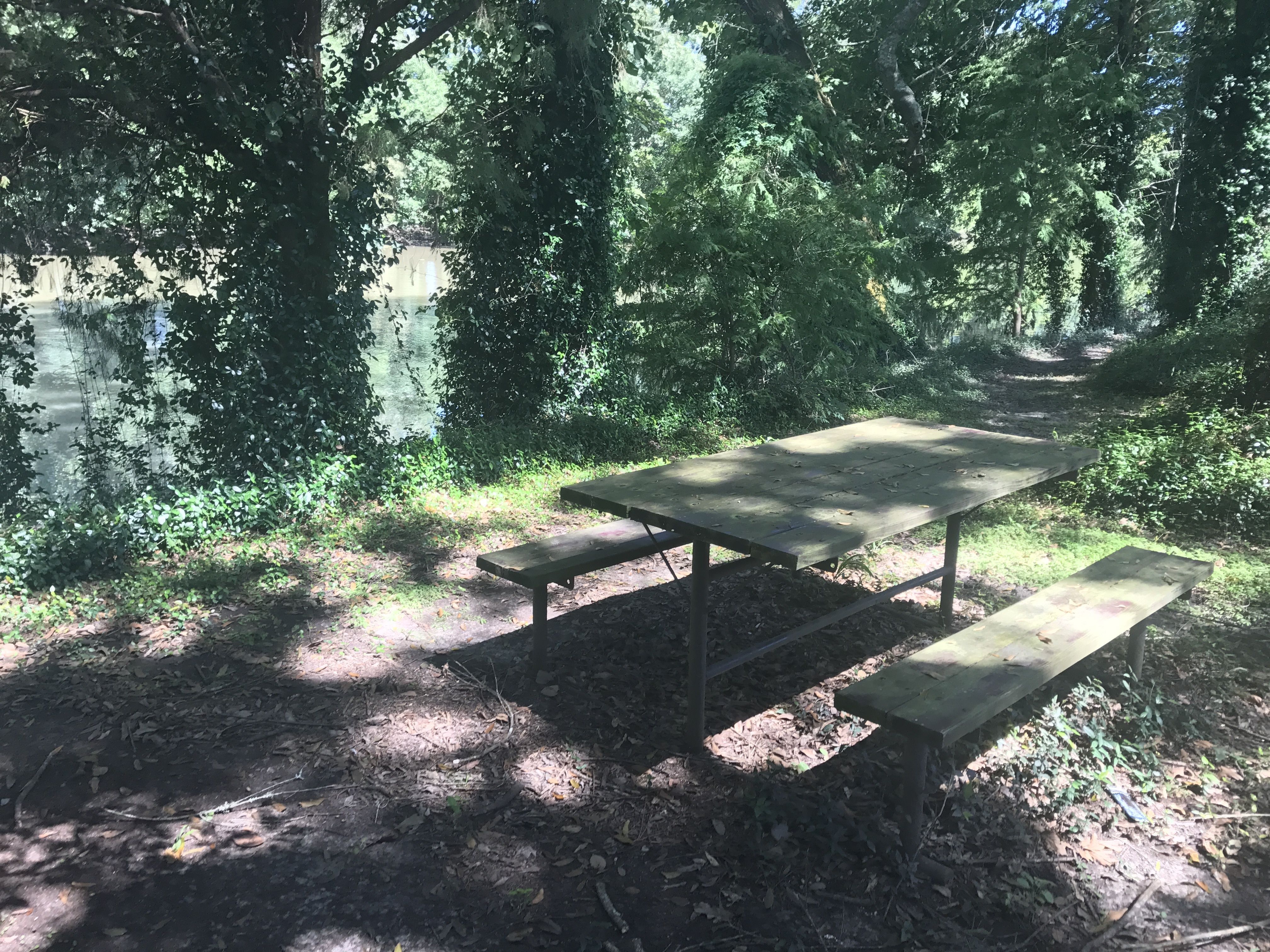 Spectator area