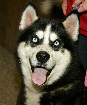 JIM