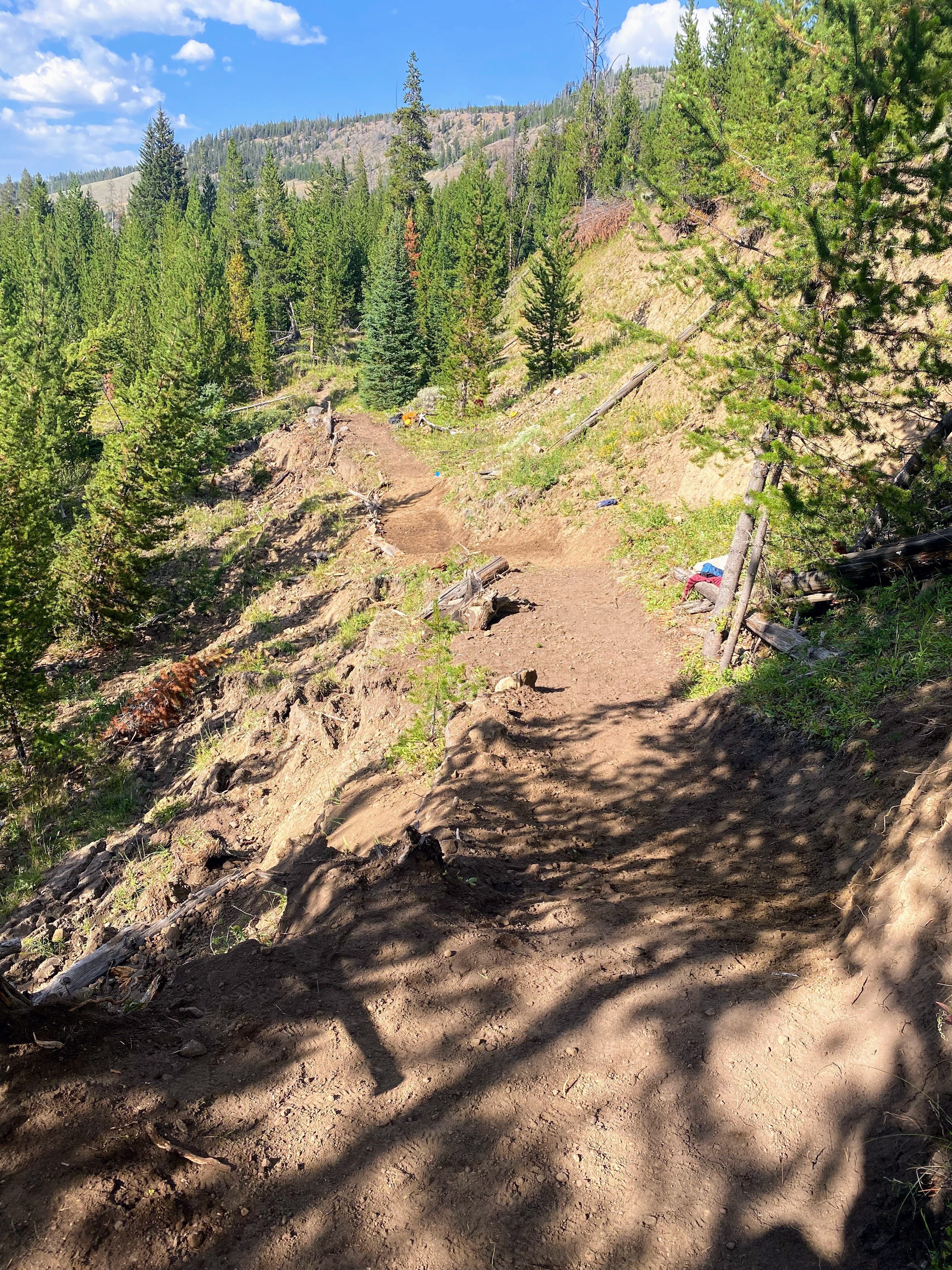 A view down a recently repaired trail in Yellowstone.