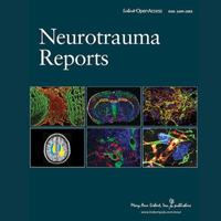 Can Large Language Models Answer Questions about Spinal Cord Injury? Risks, Challenges, and Opportunities—A Narrative Review