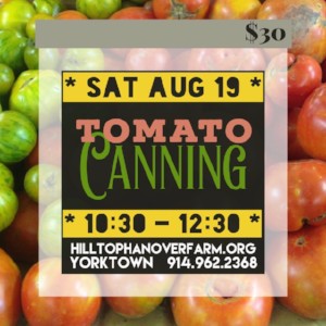 Tomato Canning