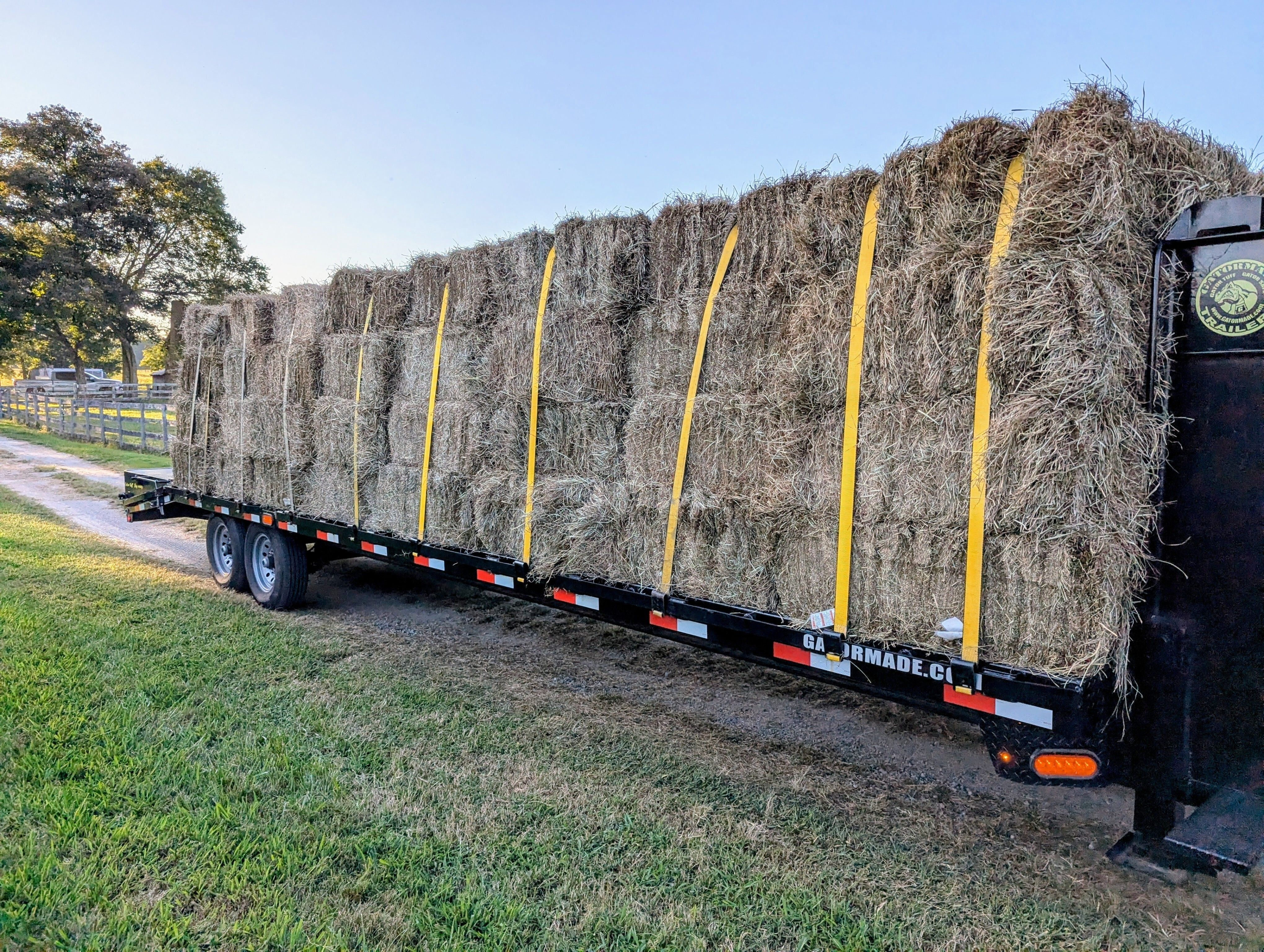 How many bales the gang eats annually.  (This trailer is holding 160 bales. 