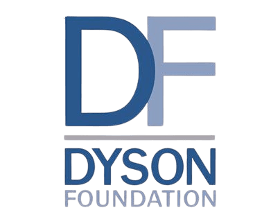 Dyson Foundation