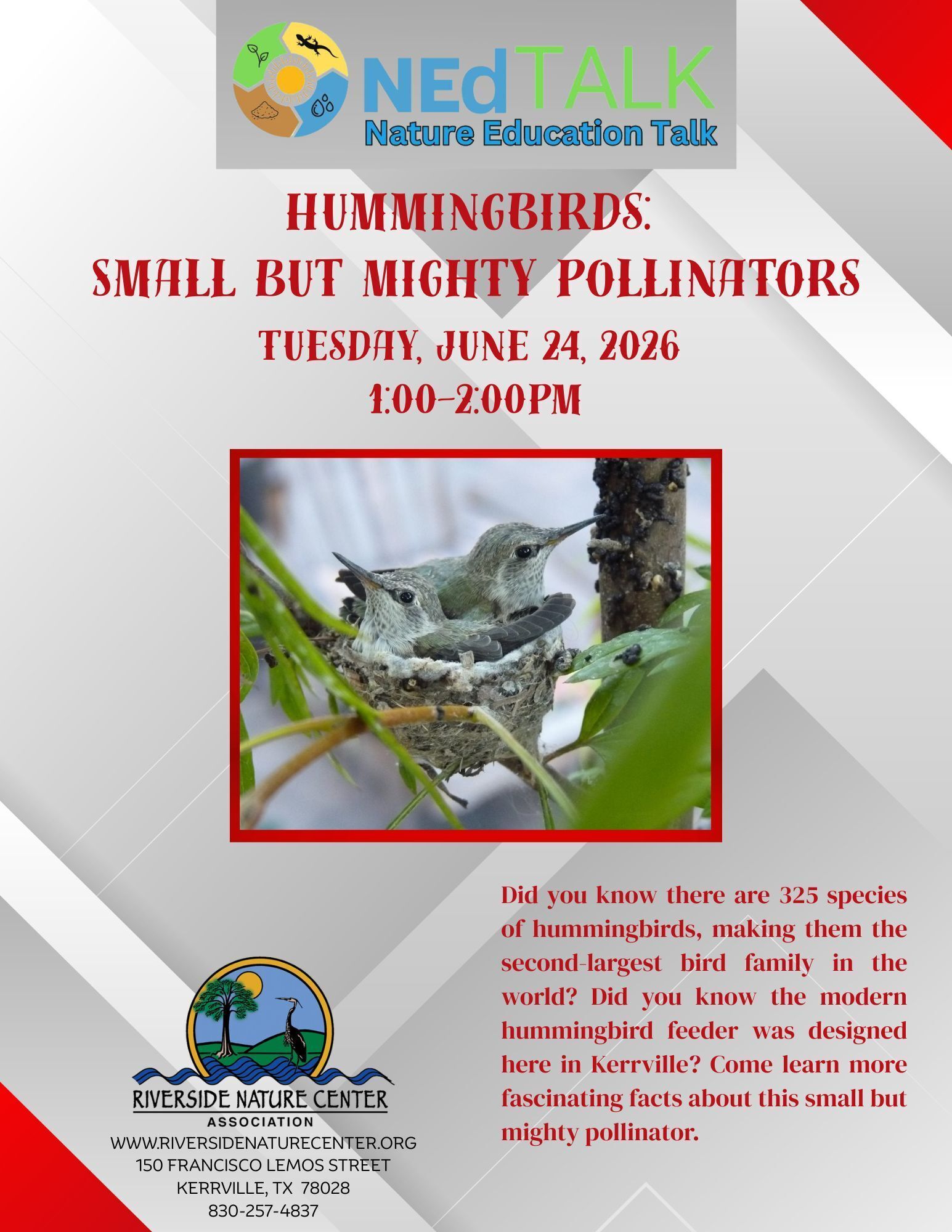 Hummingbirds: Small but Mighty, hummingbird feeder, kerrville events near me, NEd Talk, Nature Education Talk , The Healing Powers of Native Plants, Nature Lover, Riverside Nature Center, things to do in kerrville, nature tips