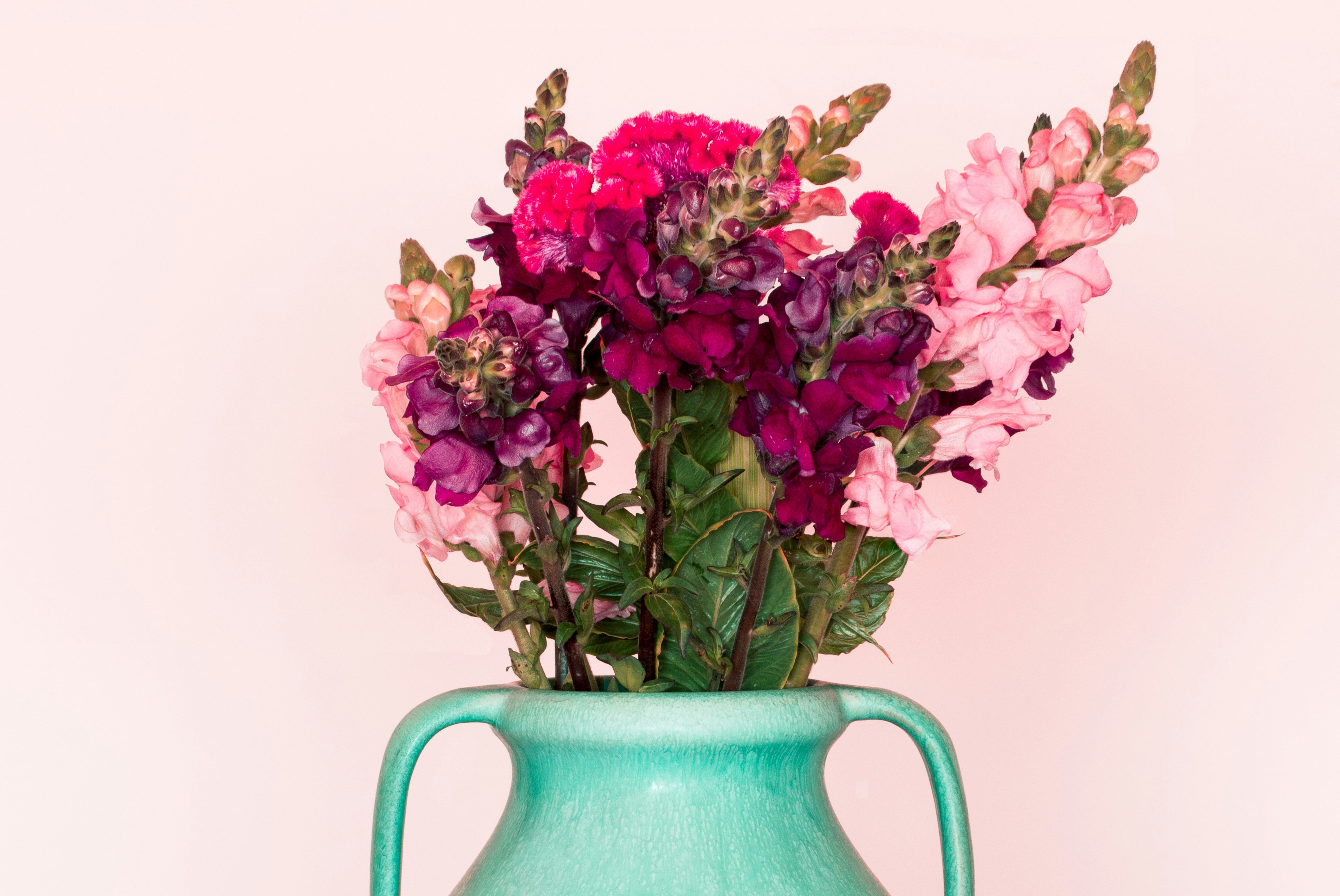 Fresh Cut Flowers