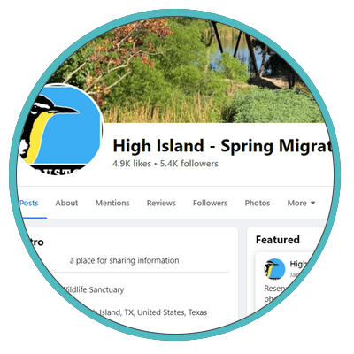 High Island Facebook page