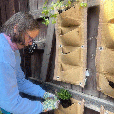Watering Plants