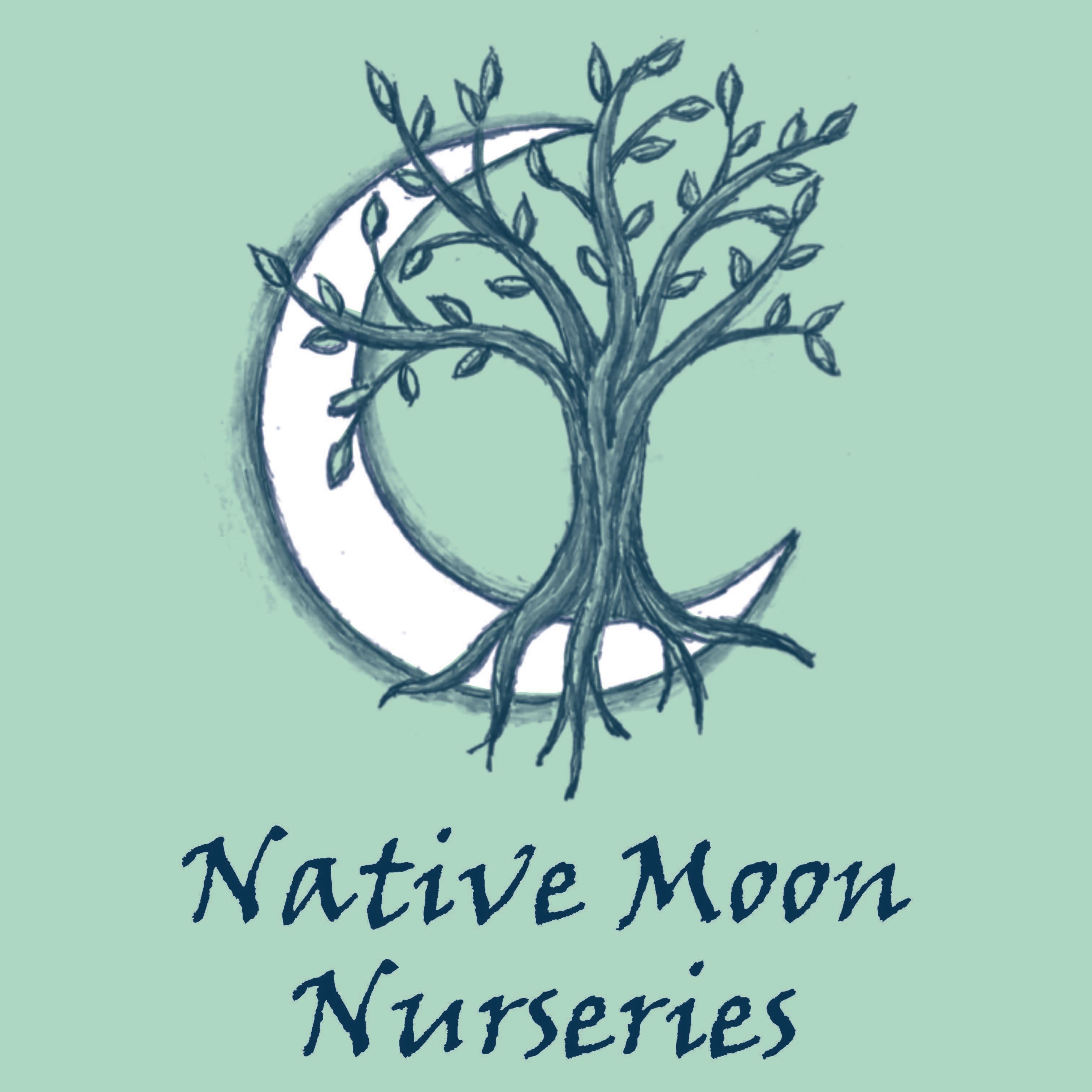 Native Moon Nursery