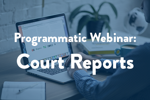 Programmatic Webinar #3: Court Reports