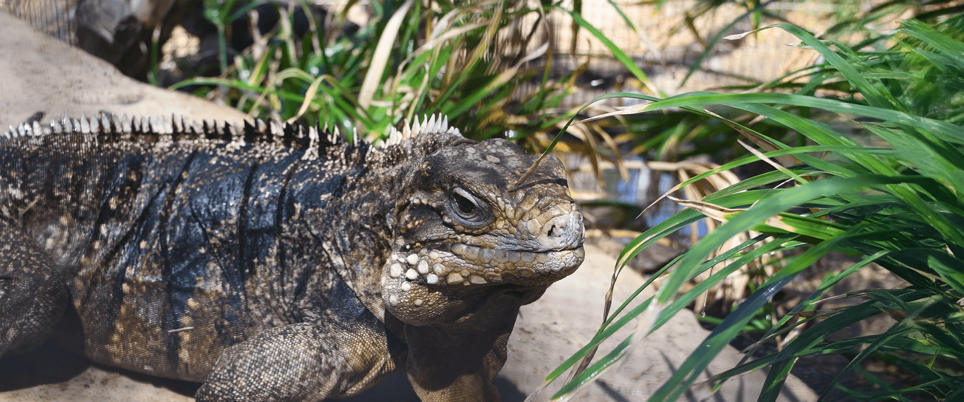 New Video on YouTube!