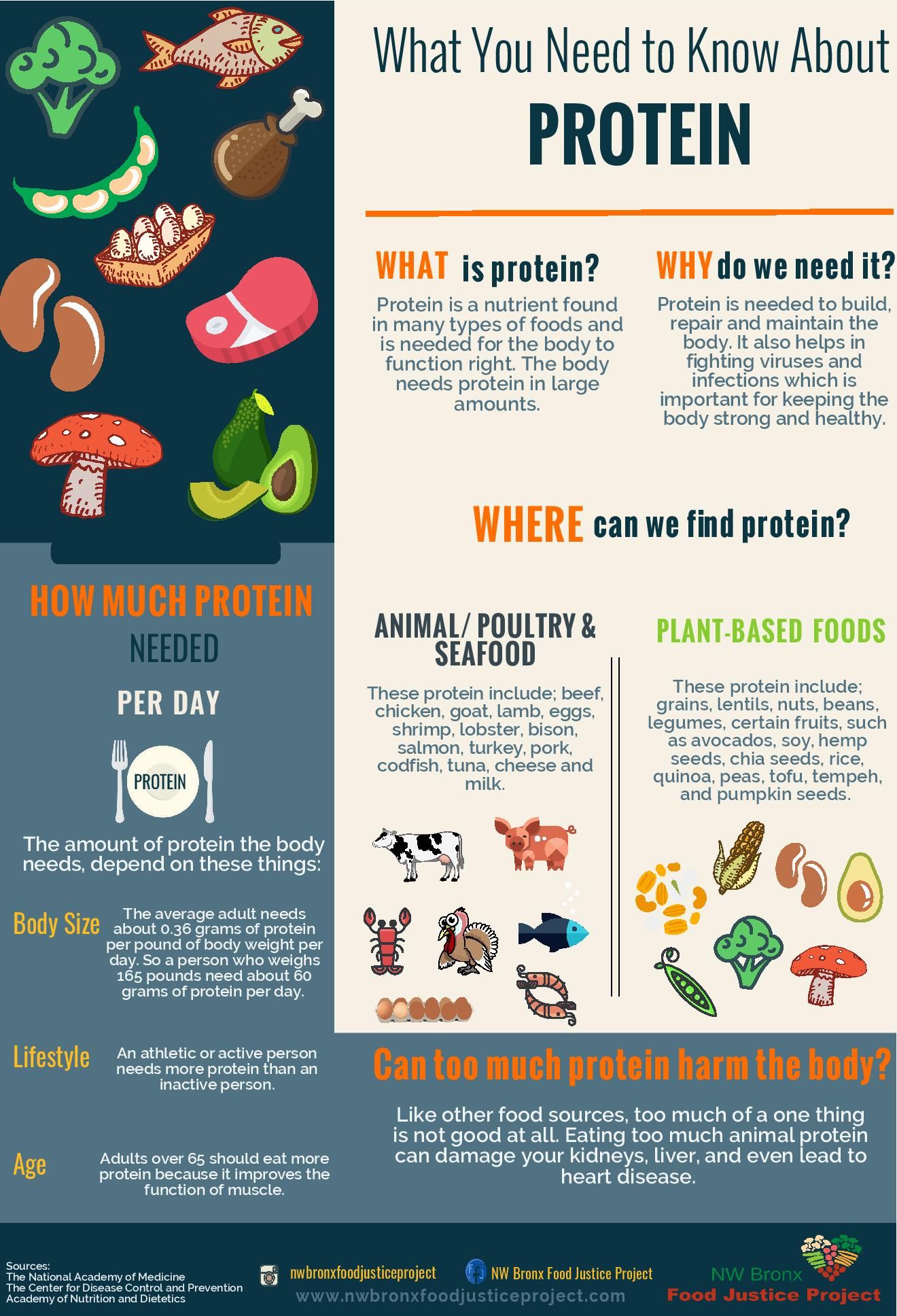 Covid-19 and the importance of protein