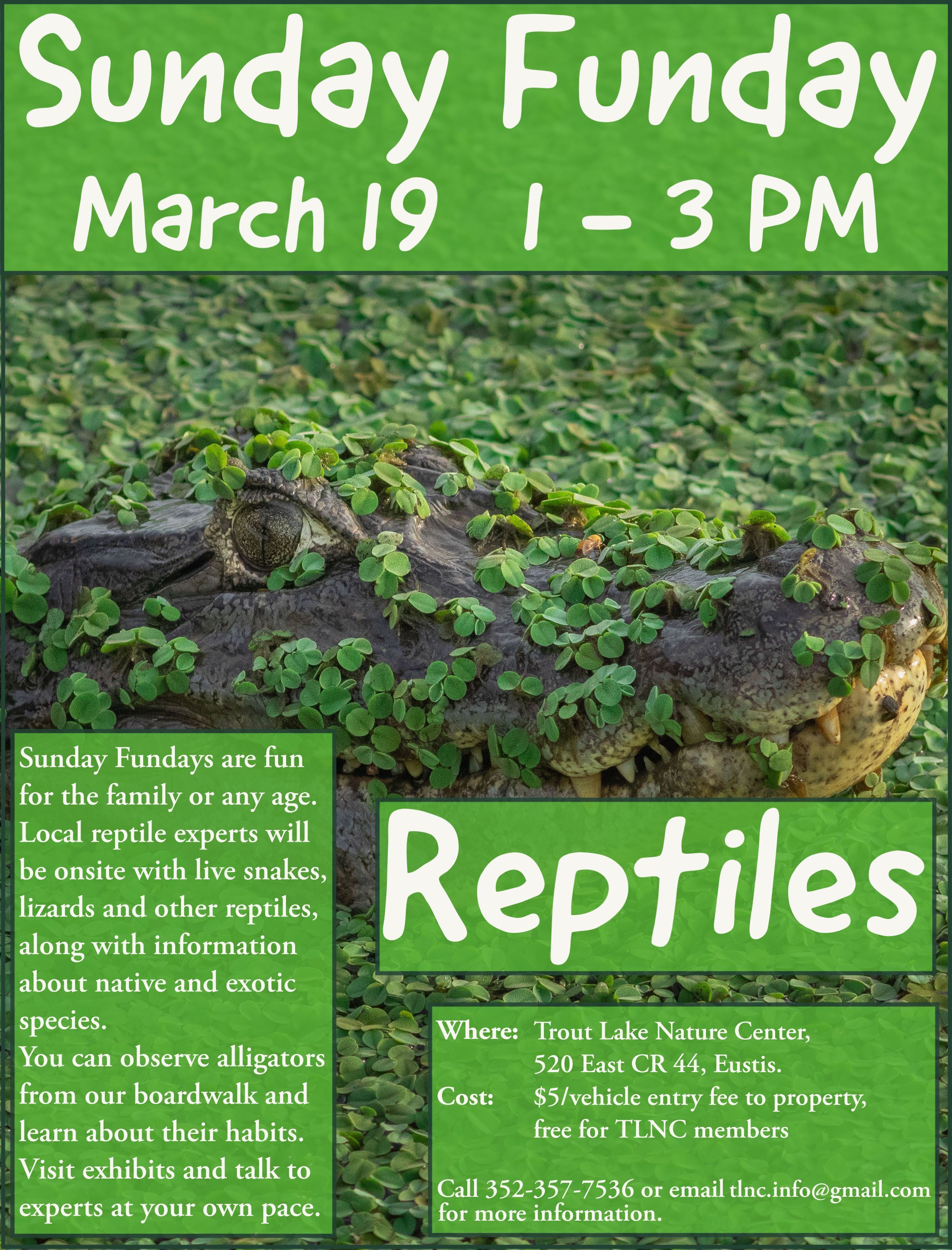 Sunday Funday in March is all about Reptiles