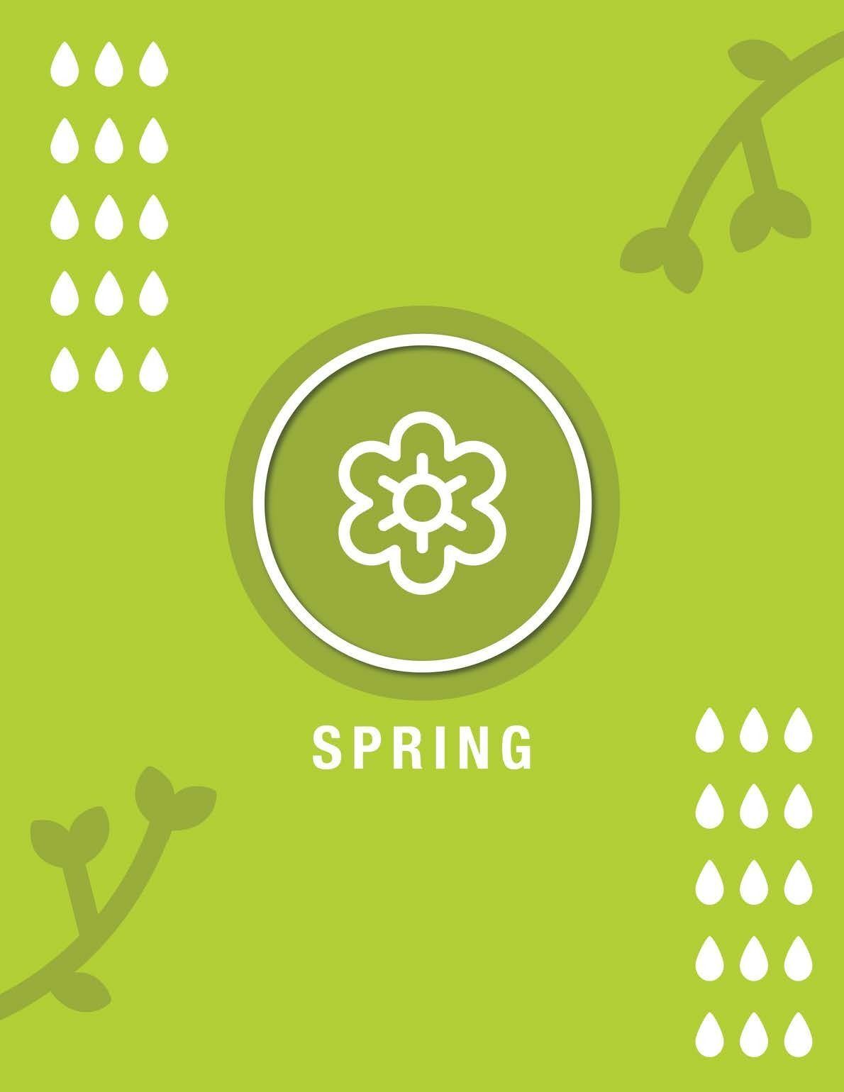 Spring Activity Guide