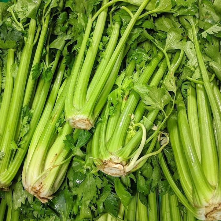 Celery