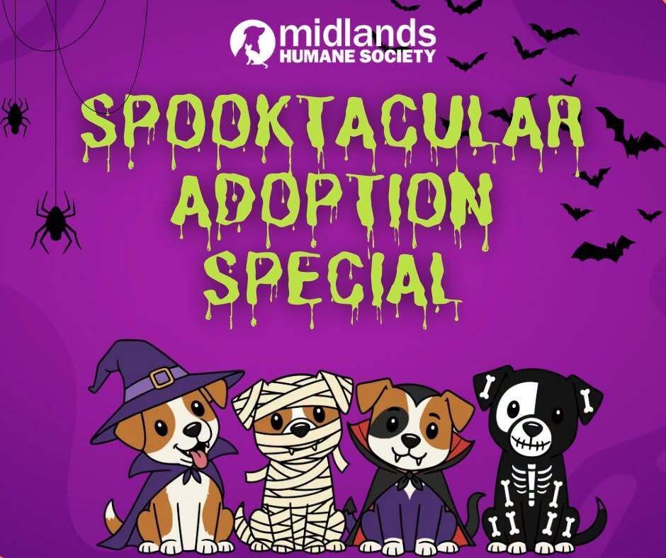 Spooktacular Adoption Special!