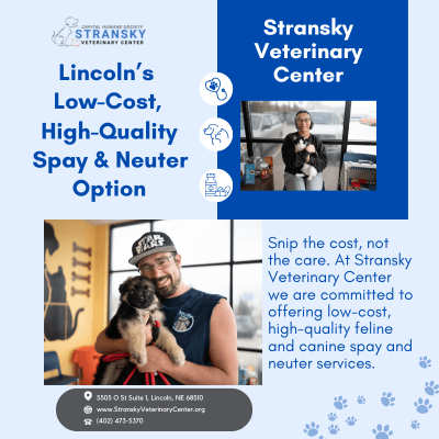 SVC