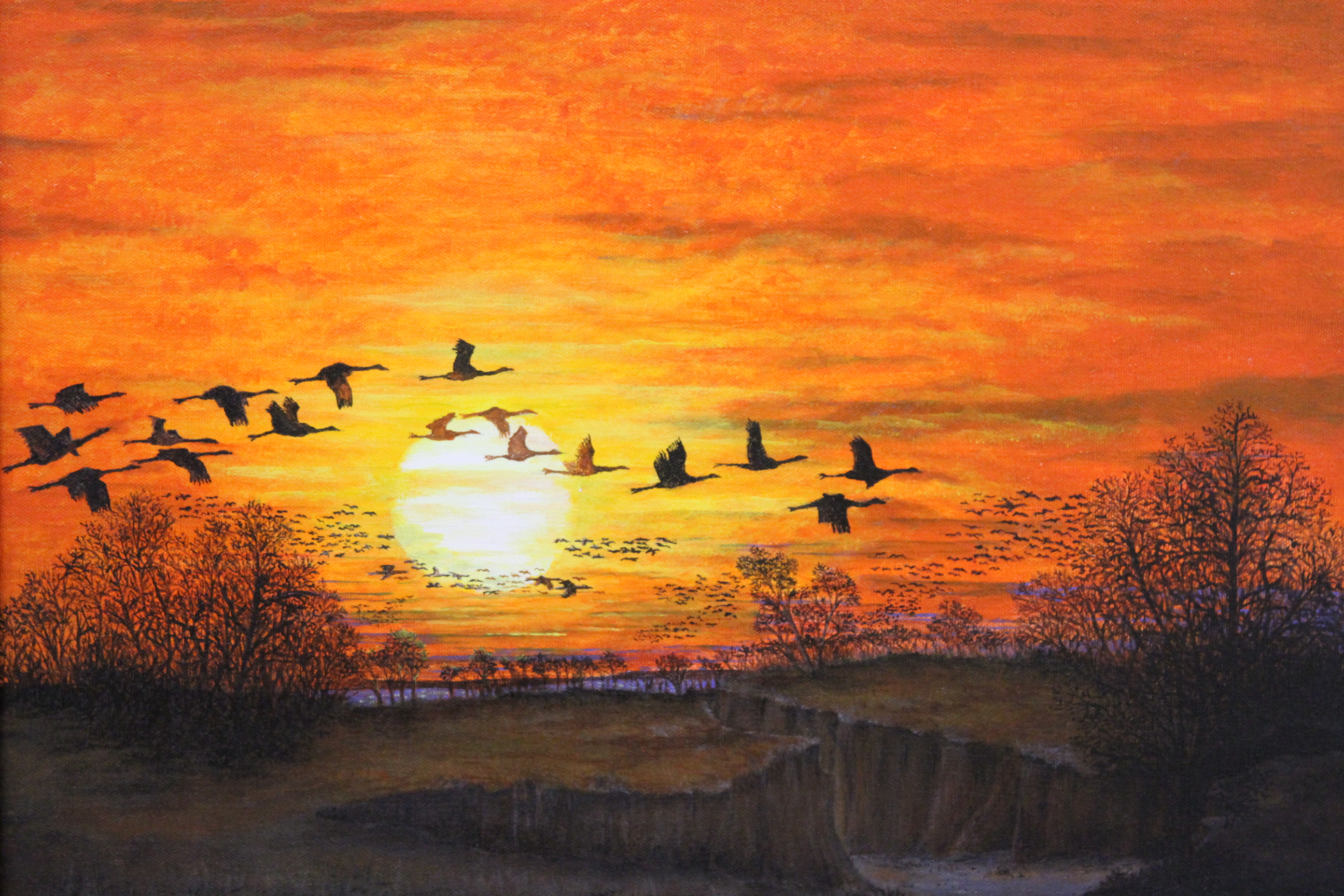 Wings Over the Platte