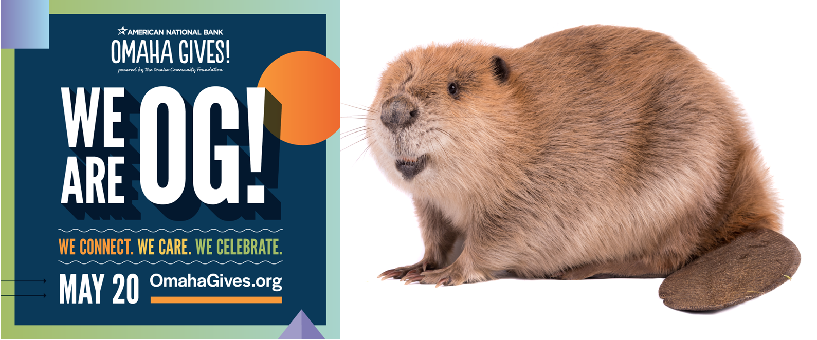 Wildlife Rescue, Rehabilitation & Education in Nebraska