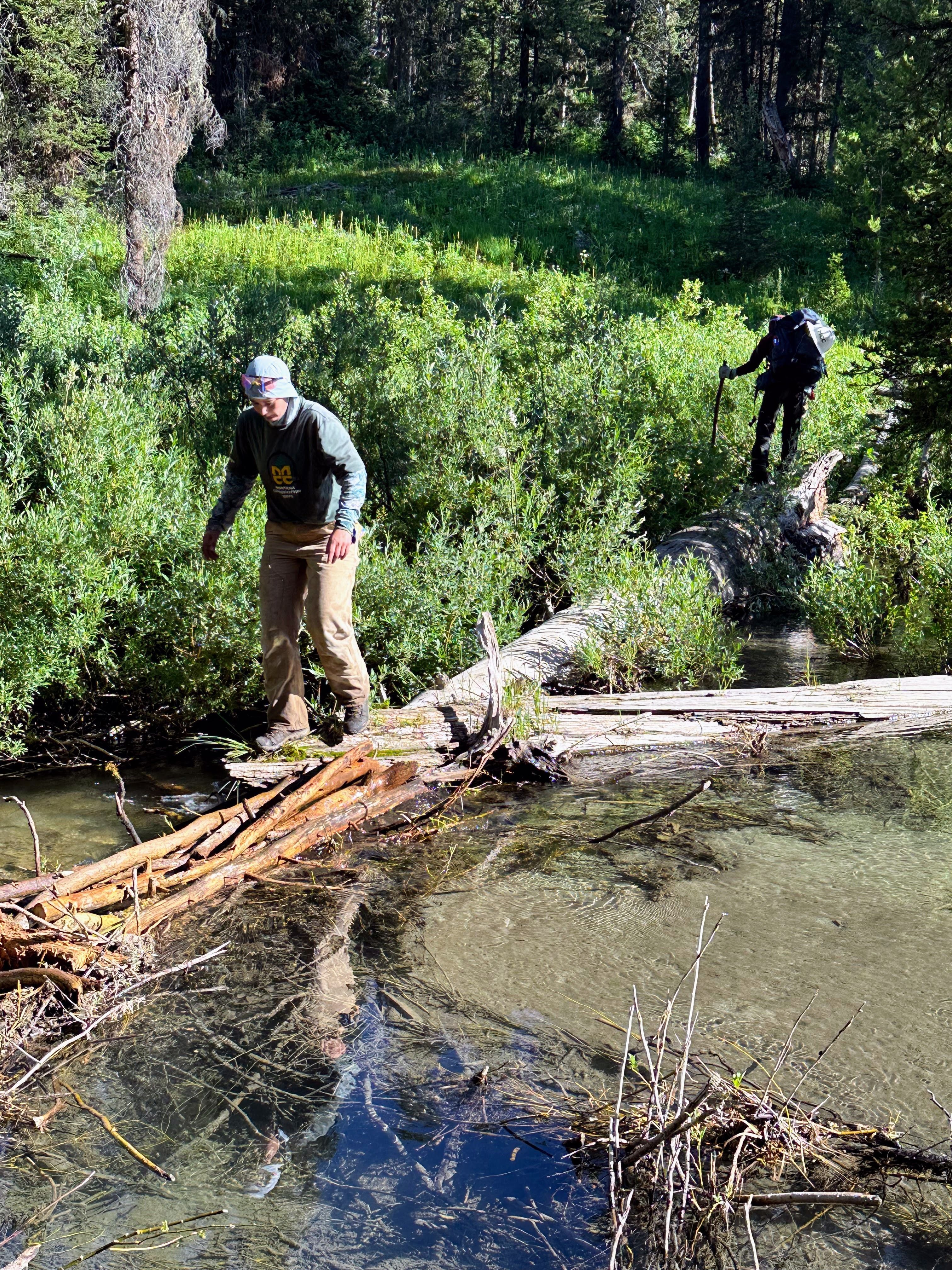 Crew members balance on a log to cross a river