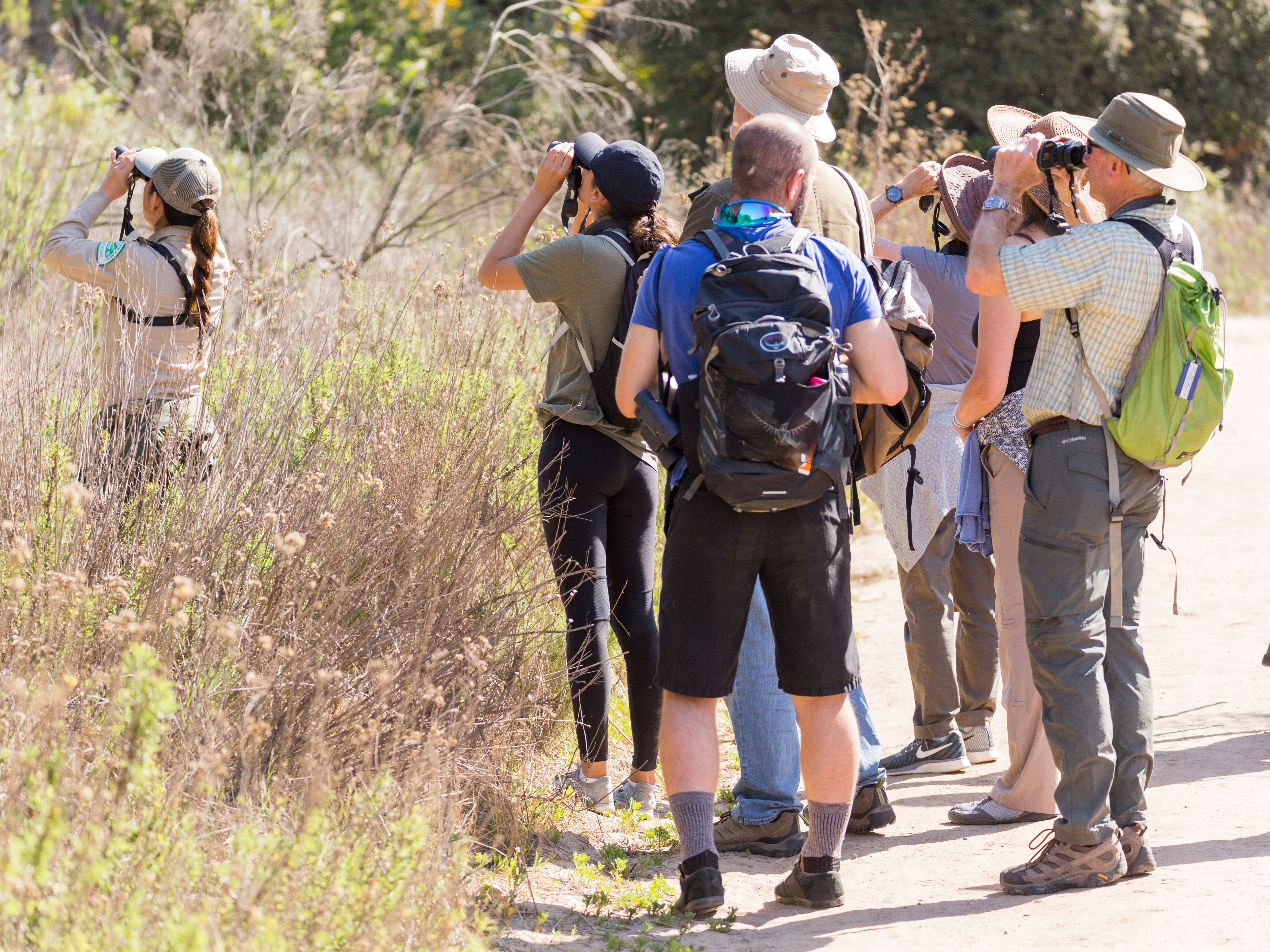 san diego audubon field trips