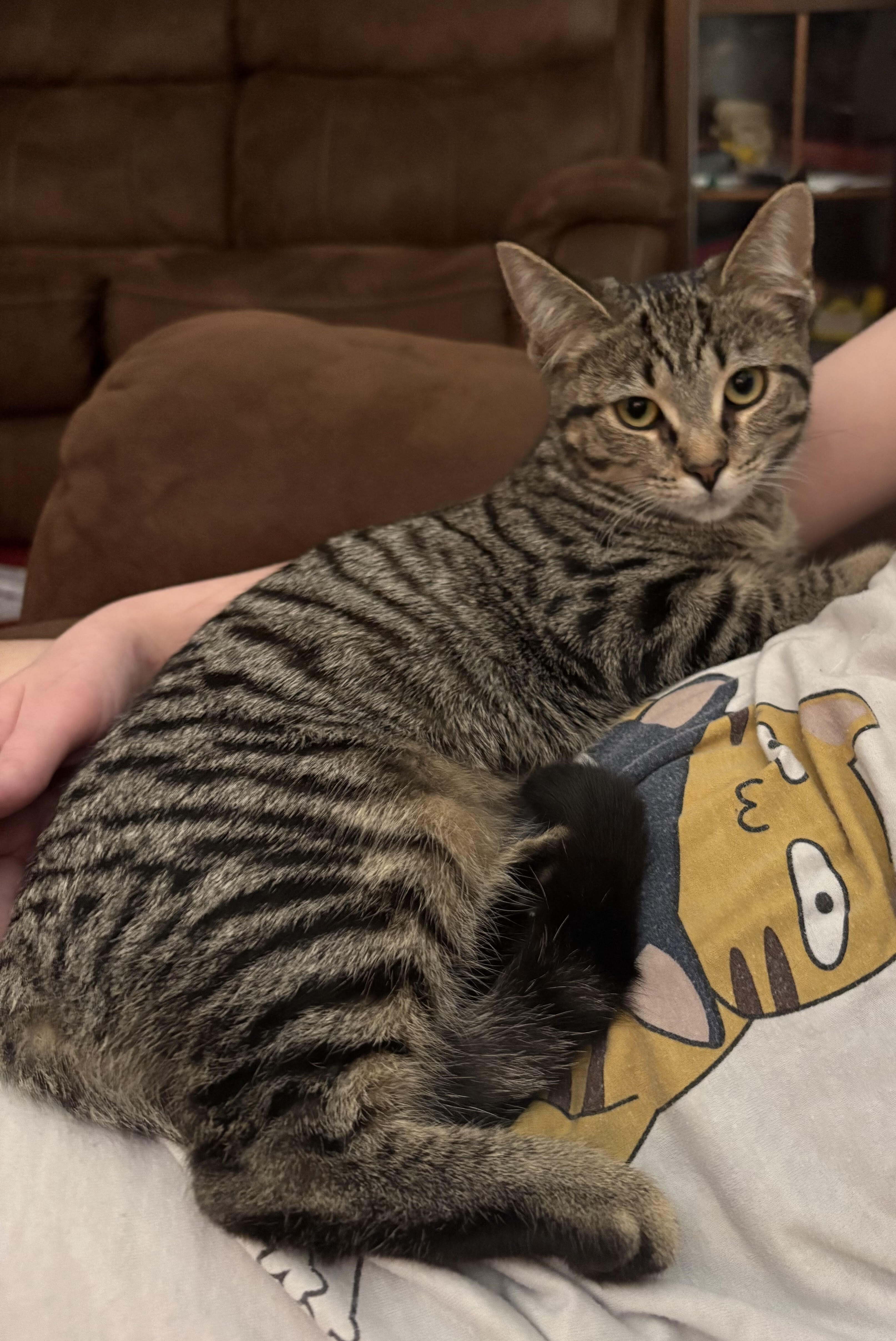 Remy