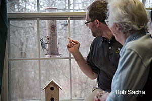 Observing a bird feeder