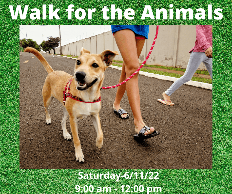 Walk to raise donations for the animals cared for by the HSCC