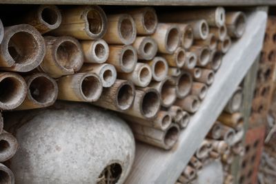 What is an insect hotel?