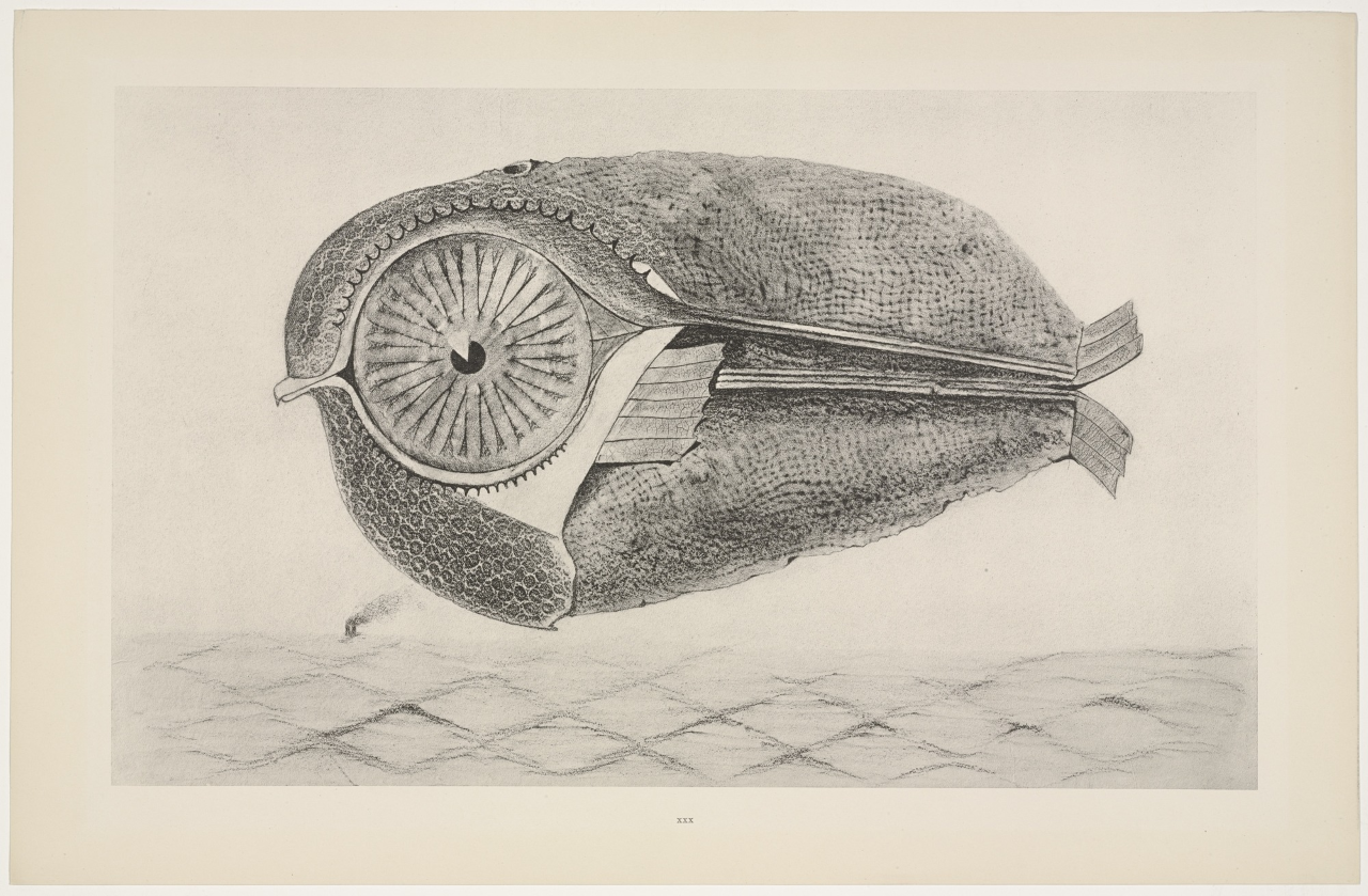 The Art of Max Ernst