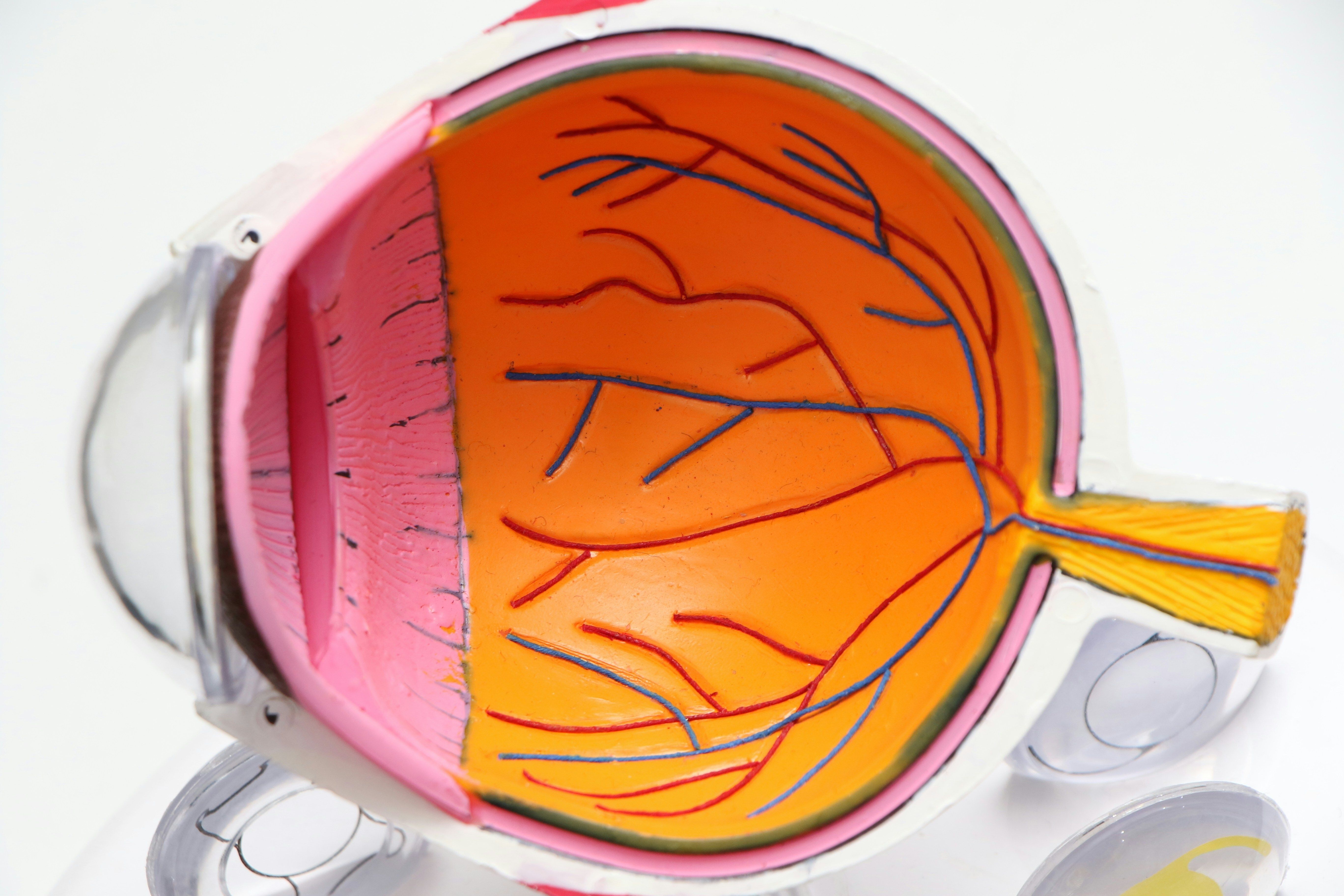 Advanced ocular disease management