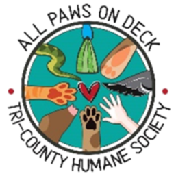All Paws On Deck – #GivingTuesdayNow was a  HUGE SUCCESS!