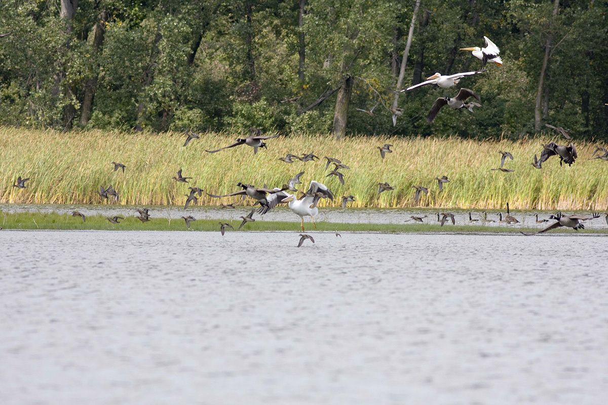 Join us for special events this spring!