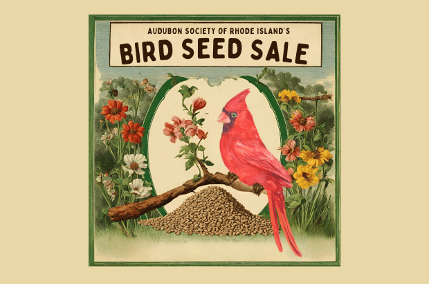 The Bird Seed Sale is BACK!
