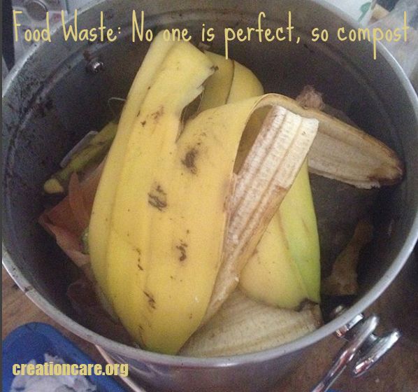 Food Waste: No one is perfect, so compost