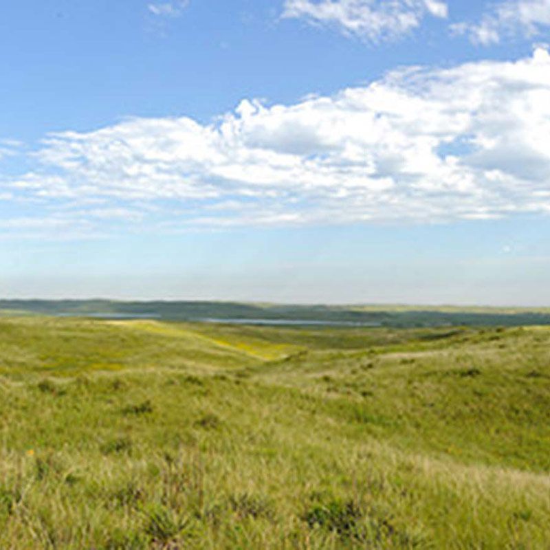 Nebraska Sandhills