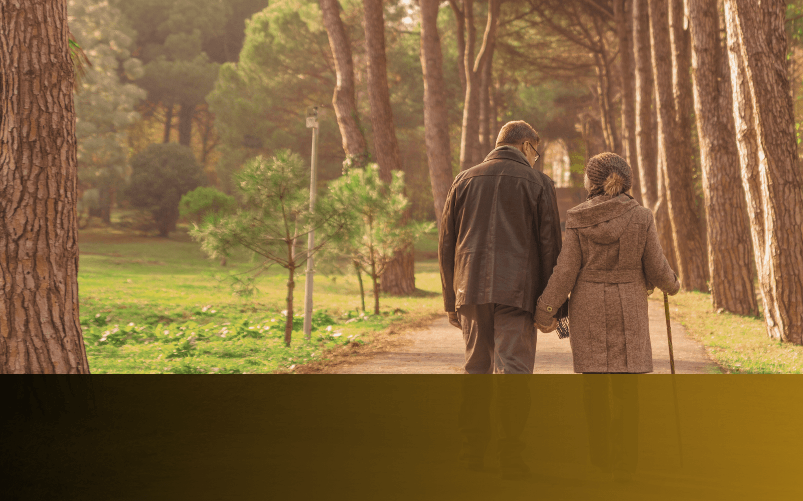 Smiling older couple working with financial planner